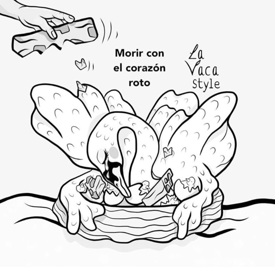 Estamos matando de amor a los animales 6 image0 40